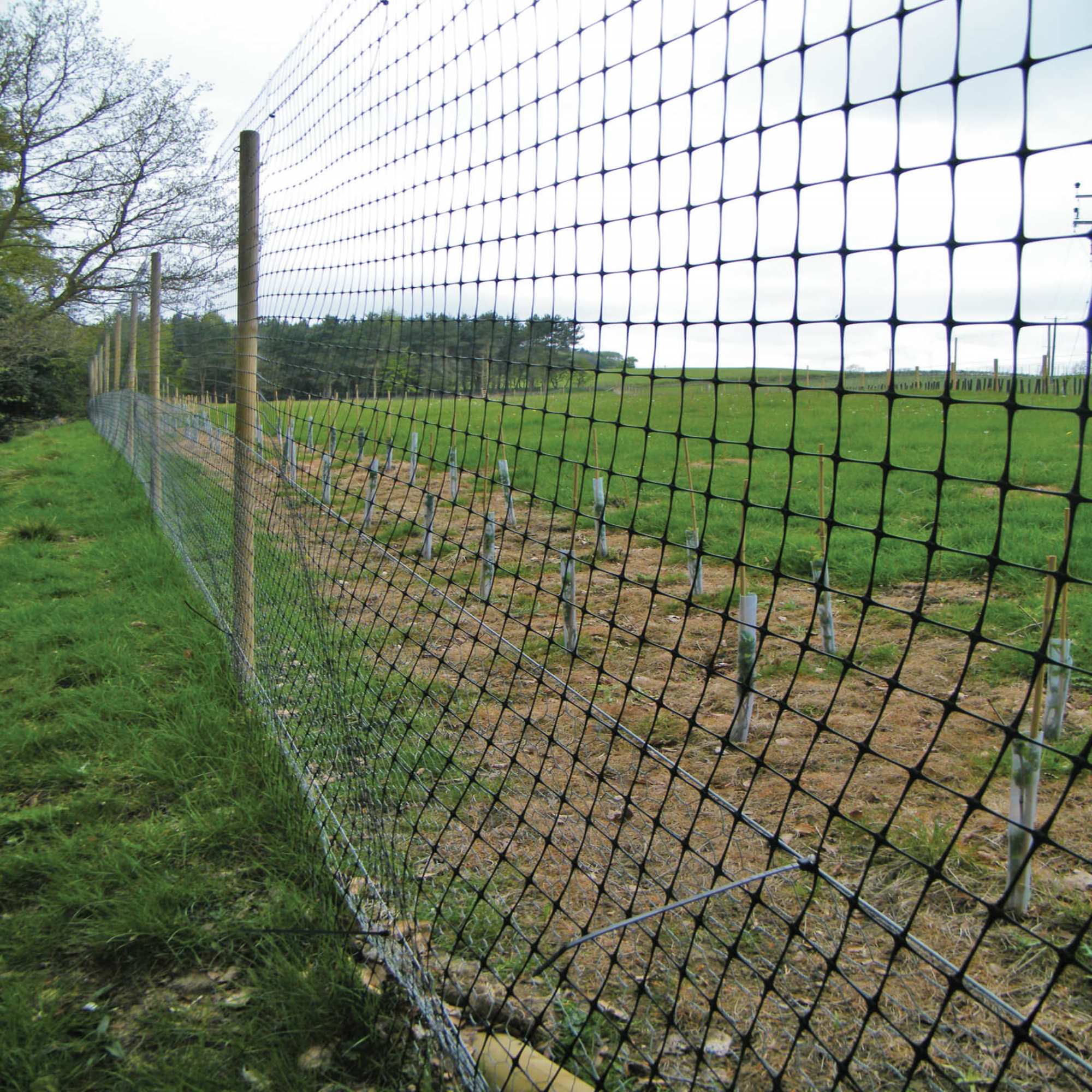 Stock & Animal Fencing